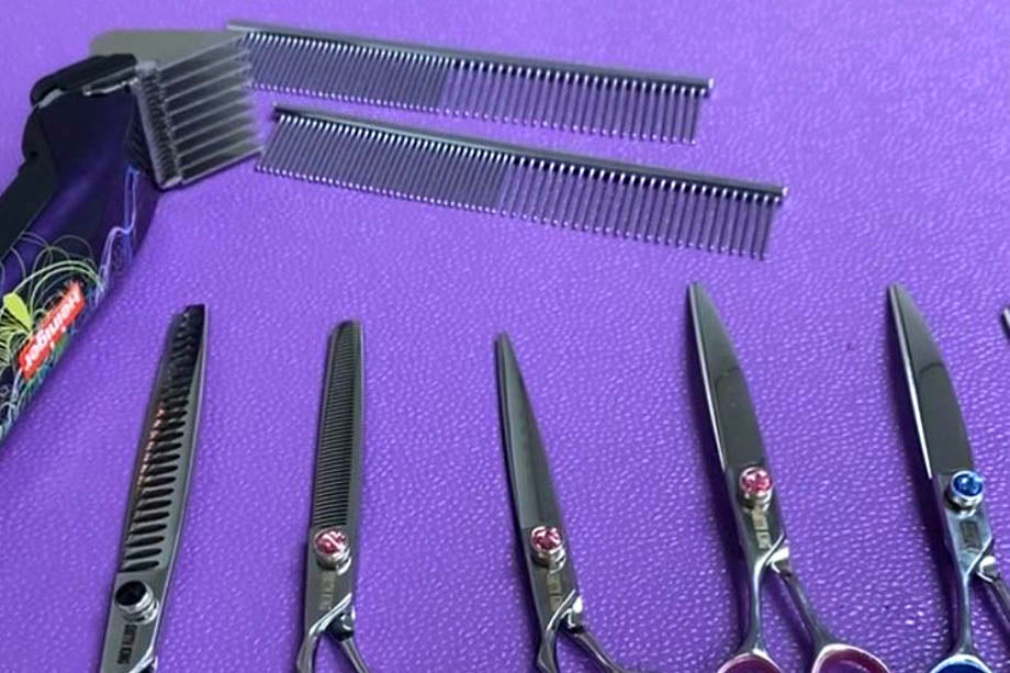 The Pet Groomer's Toolkit Essential Scissors Selection for Beginners